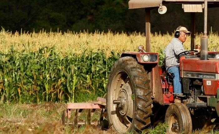 Lettre ouverte à M. Le Ministre du Développement, des Investissements et de la Coopération internationale