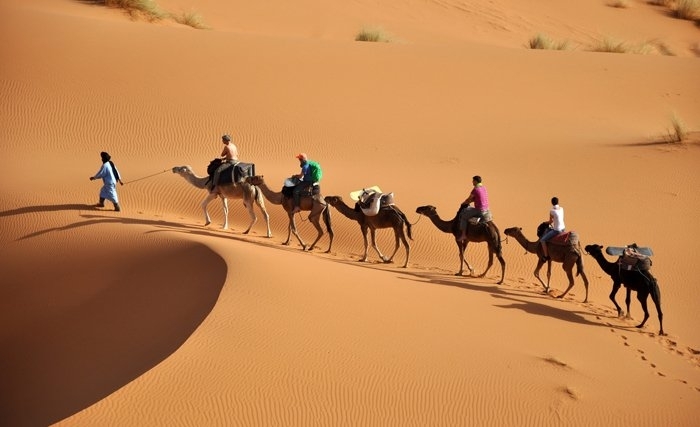 Tunisie: De la Nouvelle-Zélande au Sahara