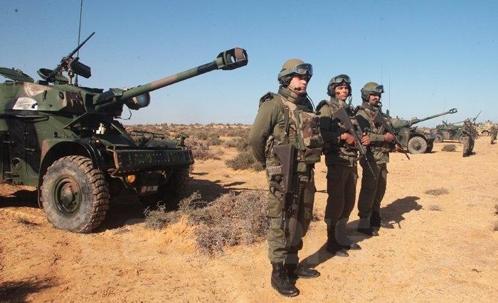 وزارة الدفاع: القضاء على 13 إرهابيا والقبض على 6 مصابين خلال العملية العسكرية بمدينة بن قردان (حصيلة جديدة