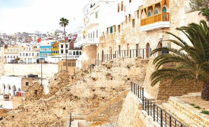 ضحى طليق: طنجة... صاحبة الصّرخة المتوسّطيّة البيئيّة ضدّ التغيّر المناخي