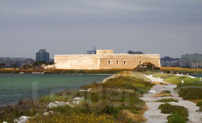  Le concert symphonique de ce samedi à l’île Chikly : un dérangement sans précédent pour l’avifaune aquatique de Tunis