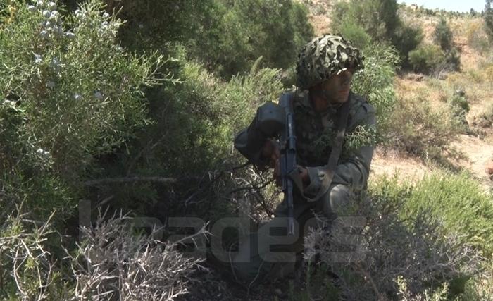 هكذا يطوّر الجيش التونسي منظومة مقاومة الإرهاب (فيديو)
