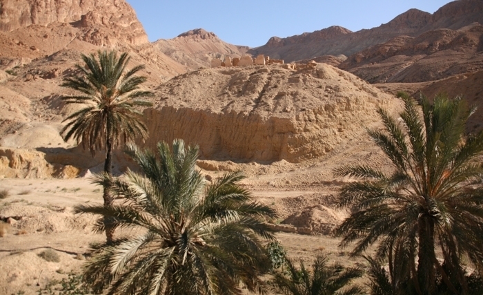 ولاية ڤفصة: المعوّقات والطّموحات