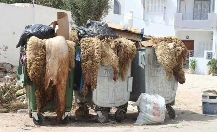 De Houston a Bizerte, les questions d’environnement ne peuvent être mises sous le tapis