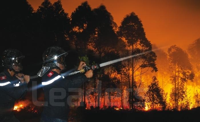 Le poumon vert de la Tunisie à l’épreuve du feu 