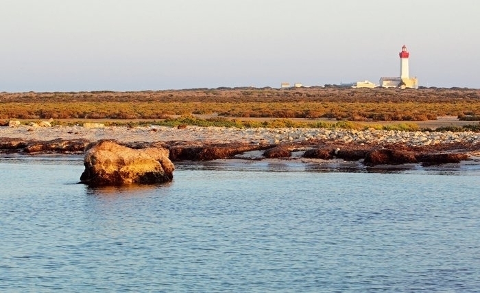 Les îles Kuriat en Tunisie, îles des tortues