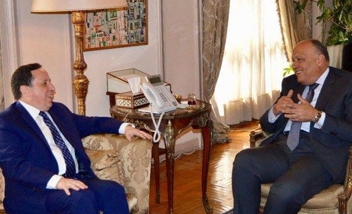 انعقاد الدورة 14 للجنة التشاور السياسي التونسية المصرية بالقاهرة