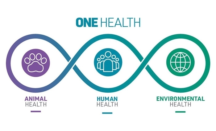 Gestion des pandémies et création du Haut Conseil Scientifique One Health 