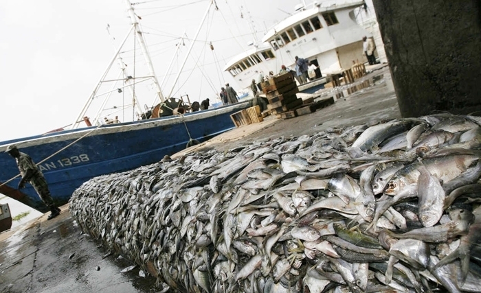 L’économie bleue: l’émergence du concept et ses significations