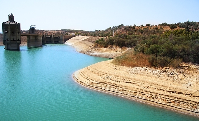 Exercice transnational de gestion des crises hydrauliques: Création du Haut Conseil Scientifique Maghrébin «Eau»