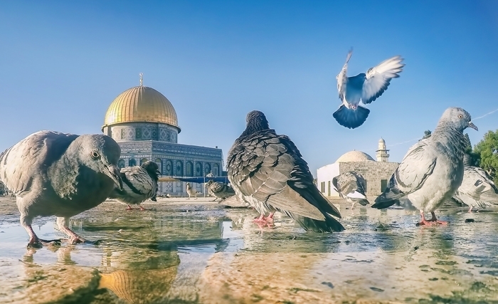 Ahmed Ounaïes - Le conflit israélo-palestinien: Définition d’une base commune de civilisation Ahmed Ounaïes - Le conflit israélo-palestinien: Définition d’une base commune de civilisation
