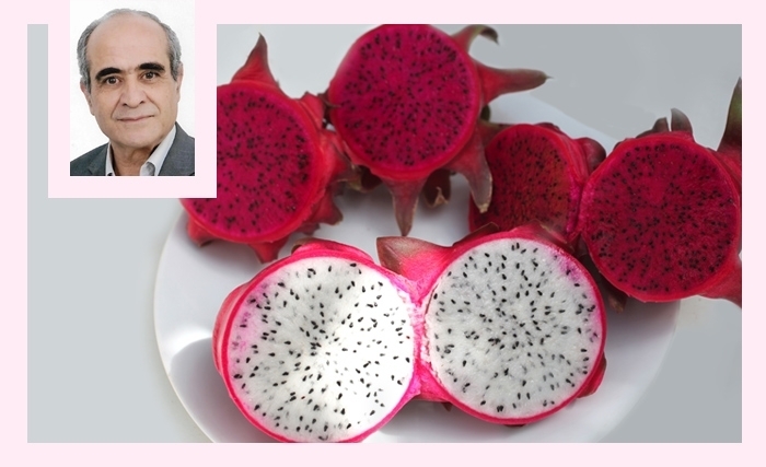 Ridha Bergaoui: Le fruit du Dragon à la conquête du monde