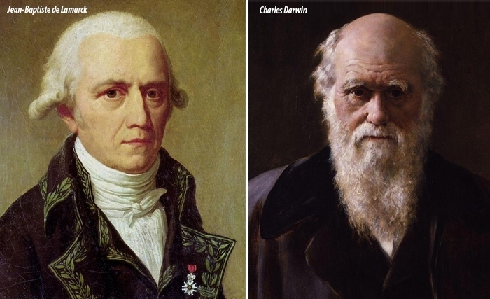 Darwin, Lamarck et l'épigénétique: Une évolution des idées