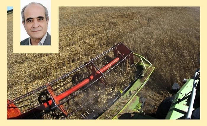 Ridha Bergaoui: Malgré une bonne récolte, la Tunisie demeure fortement dépendante de l’importation des céréales 