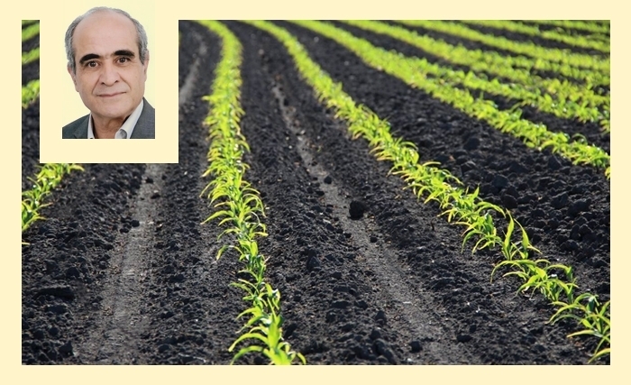 Ridha Bergaoui: L’agriculture de conservation, une stratégie pour des sols fertiles et une agriculture durable Ridha Bergaoui: L’agriculture de conservation, une stratégie pour des sols fertiles et une agriculture durable