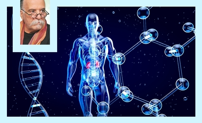 Les hormones: ces messagères invisibles qui orientent nos jugements intellectuels à notre insu