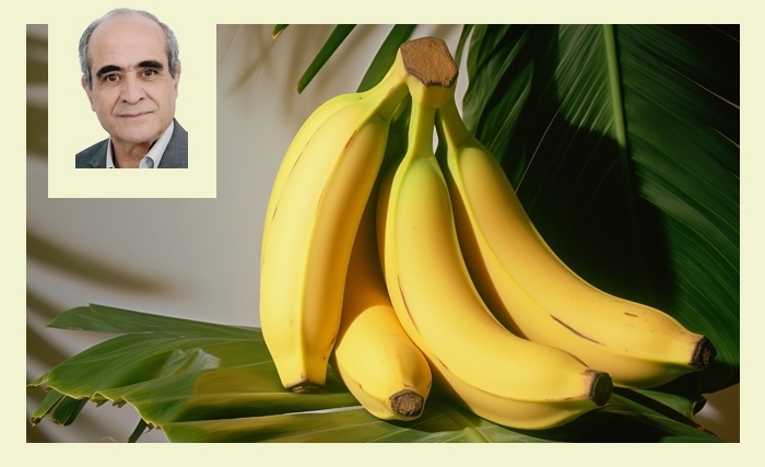 La banane: saveurs, bienfaits, secrets et petites histoires 