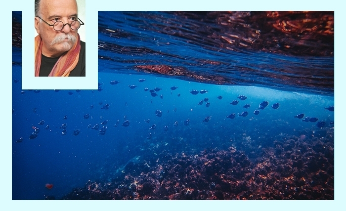 Sous la surface: un voyage dans les abysses, royaume de la pression