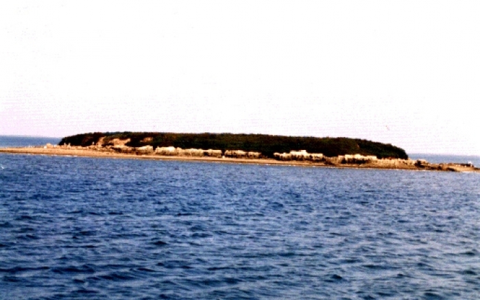 Les îles Kneïes,  paradis des oiseaux hivernants