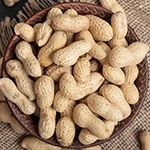 Les cacahuètes: plaisir gourmand et potentiel intéressant