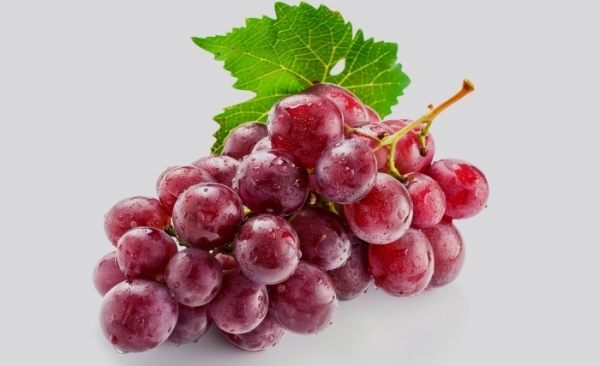 Les raisins de table: Des pépites rafraîchissantes et pleines de nutriments